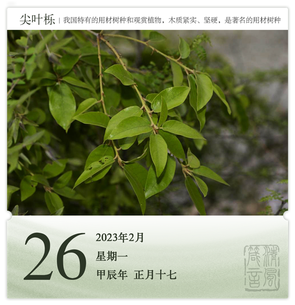 1708312699769524.png 箴历日历2-26.png