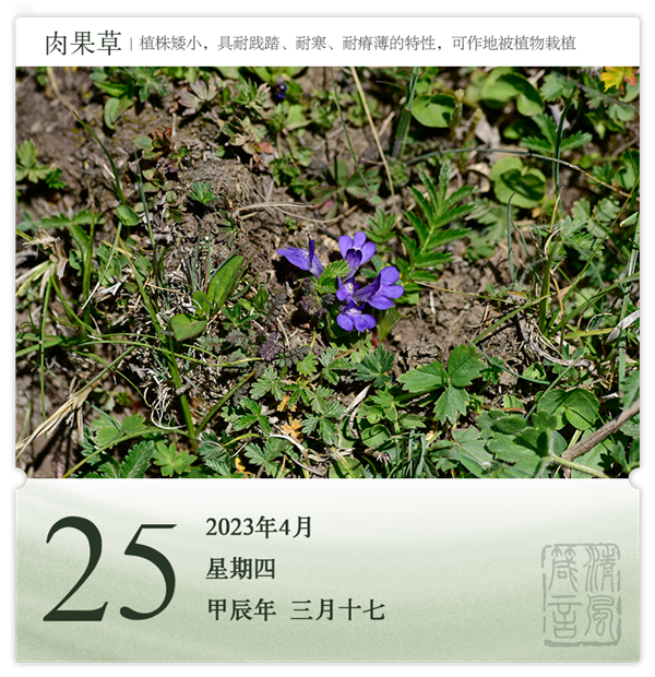 1713857704573019.png 箴历日历4-25.png