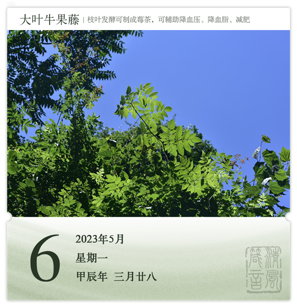 1714274611677309.png 箴历日历5-6.png