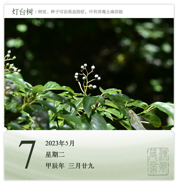 1714274685659559.png 箴历日历5-7.png