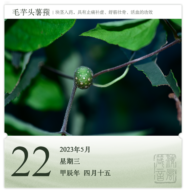 1714286159964573.png 箴历日历5-22.png