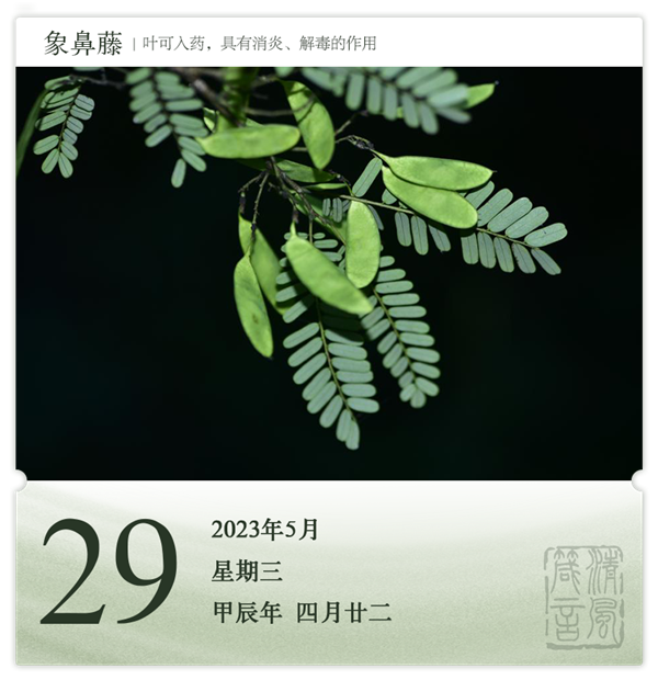 1714286572730448.png 箴历日历5-29.png