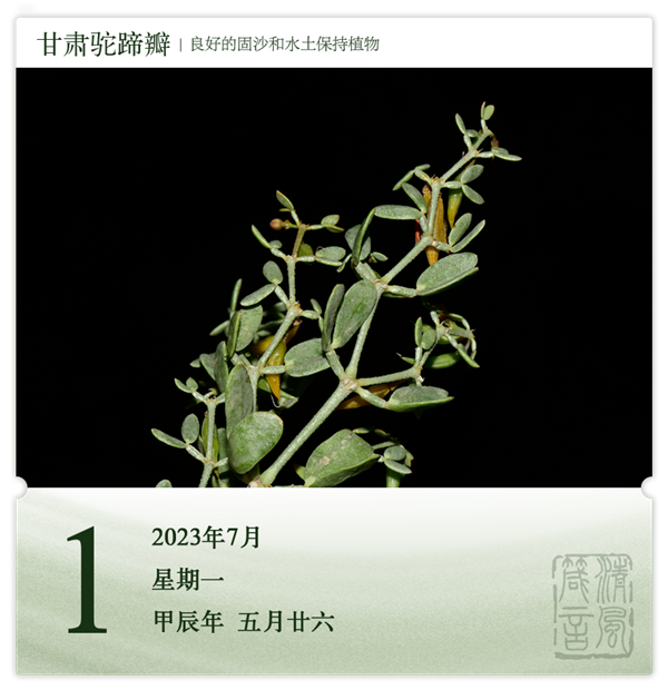 1719558744736680.png 箴历日历7-1.png