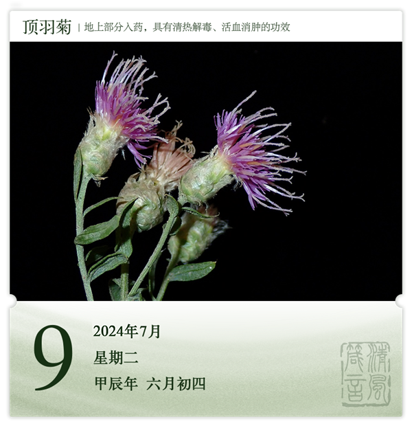 1720431899911816.png 箴历日历7-9.png