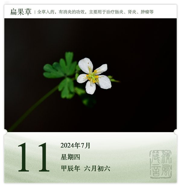 1720432334132956.png 箴历日历7-11.png