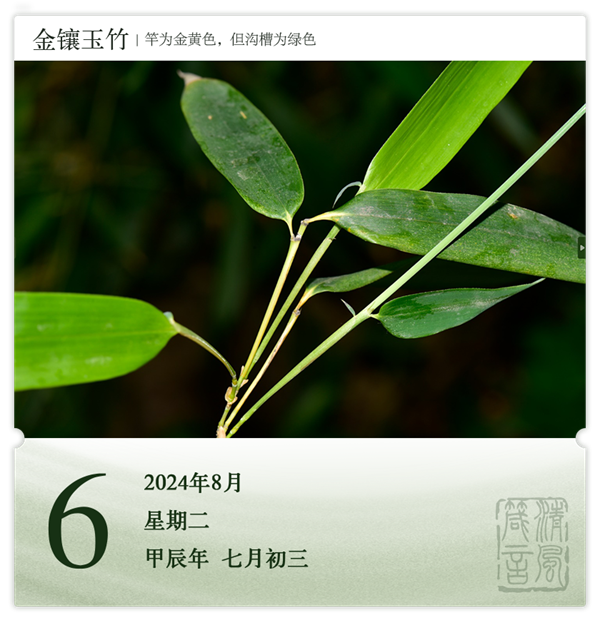 1722568468313213.png 箴历日历8-6.png