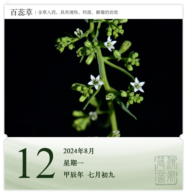 1722569532841458.png 箴历日历8-12.png