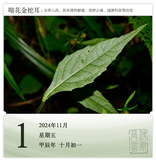 1730187105134608.png 箴历日历11-1.png