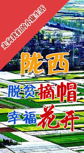 【走向我们的小康生活】长图|陇西：脱贫摘帽 幸福花开