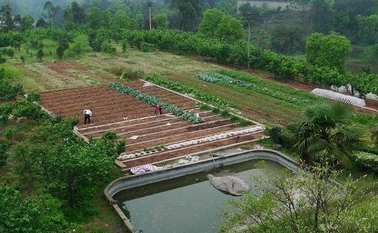 凯发k8省加快推动家庭农场数量质量双提升