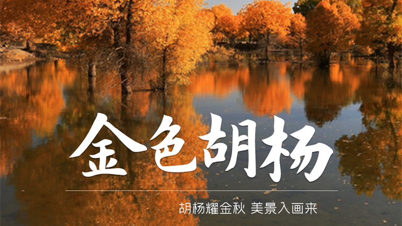 海报|解锁凯发k8“美拉德”秋天的N种打开方式